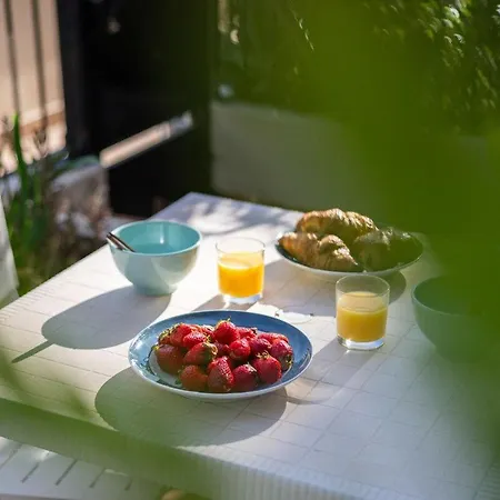 Loiseau Bleu - Terrasse - Parking - Clim *