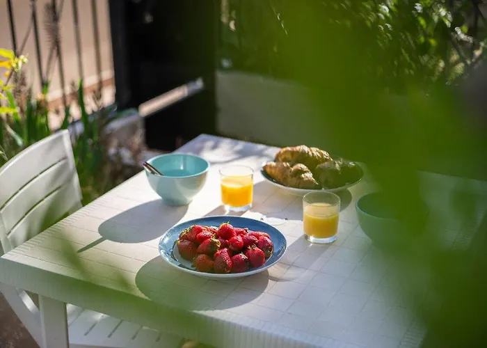 Loiseau Bleu -studio Terrasse - Parking - Clim *