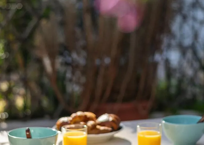 Loiseau Bleu -studio Terrasse - Parking - Clim Lejlighed