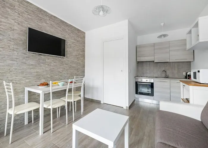 Loiseau Bleu -studio Terrasse - Parking - Clim Apartment *